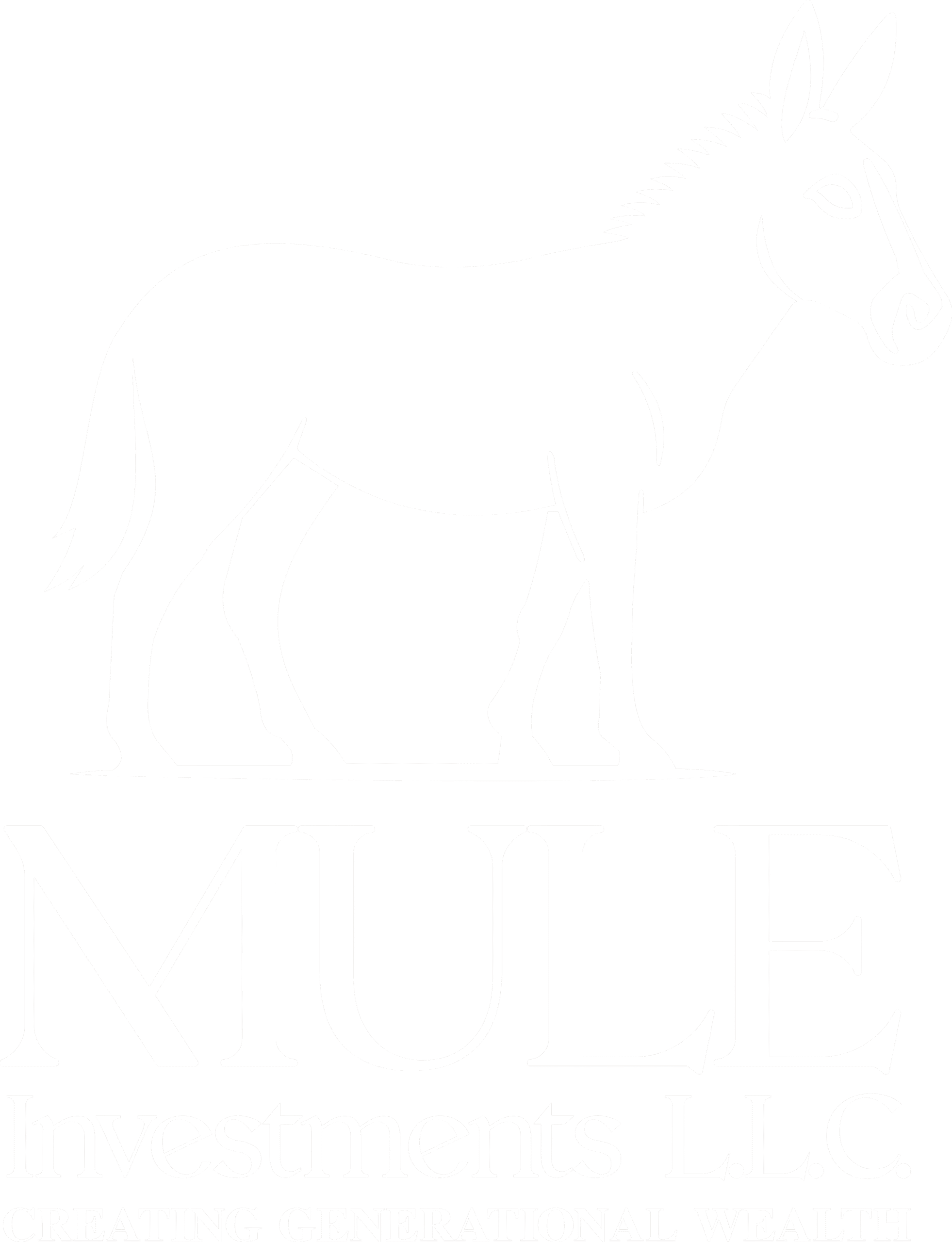 Mule Investment